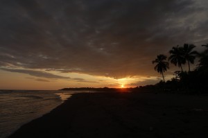 DSC03067   